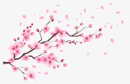 Cherry Blossom Petals Png - Transparent Spring Cherry Blossom Clipart, Png Download, Free Download