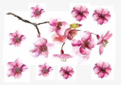 Cherry Blossom Petals And Branch Fake Tattoo, Cherry - Cherry Blossoms Drawing Flowers, HD Png Download, Free Download