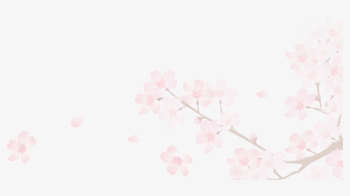 Sakura Png - Transparent Background Sakura Png, Png Download, Free Download