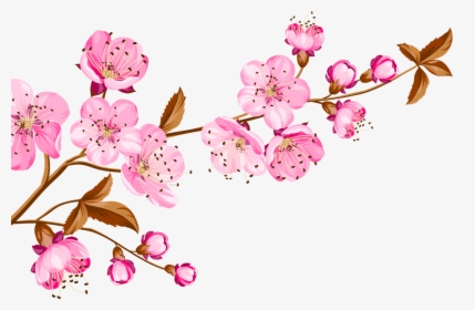 #cherry #blossom #flower #flowers #nature #pink #ftestickers - Thank You Bday Wish Quotes, HD Png Download, Free Download