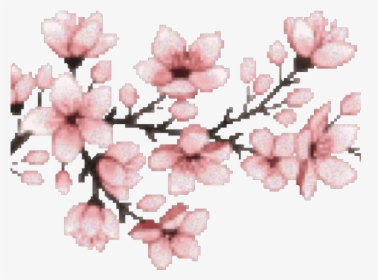 Cherry Blossom Clipart Transparent Tumblr - Cherry Blossom Png, Png Download, Free Download