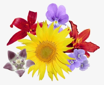 Bouquet Fleurs - Bouquet De Fleurs Png, Transparent Png, Free Download