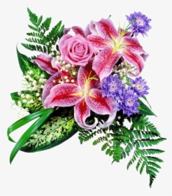 Psd, HD Png Download, Free Download
