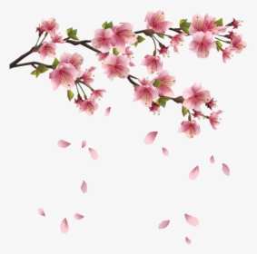 Flower Spring Branch Clip Art - Transparent Sakura Flower Png, Png Download, Free Download