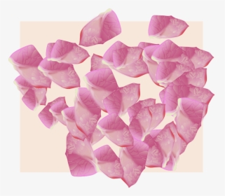 Flower Petal Vector - Rose, HD Png Download, Free Download
