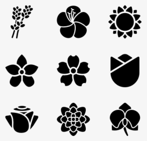 Flowers Species - Transparent Background Png Transparent Flower Icon, Png Download, Free Download