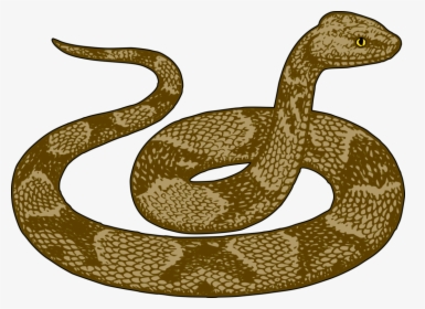 Snakes Rattlesnake Desert Kingsnake Garter Snake Download - Snake Clipart, HD Png Download, Free Download