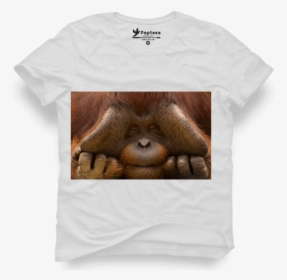 King Kong - Orangutan, HD Png Download, Free Download