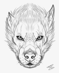 Werewolf Head Drawing Best - Wolf Logo Drawing Face, HD Png Download, Free Download