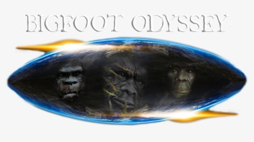 Tony Joins Bigfoot Odyssey As A Guest Host, HD Png Download, Free Download