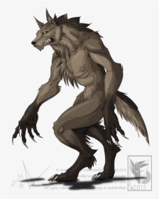 Deviantart Drawing Werewolf, HD Png Download, Free Download