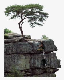 Disabled Man Climbing A Cliff - Tree On Cliff Png, Transparent Png, Free Download