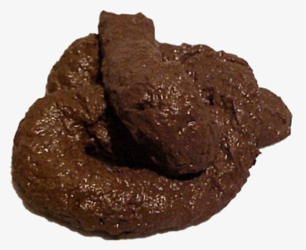 Poop Png - Real Pile Of Poo, Transparent Png, Free Download