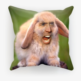 Nicolas Cage"s Face On A Rabbit ﻿sublimation Cushion - Nicolas Cage Face, HD Png Download, Free Download