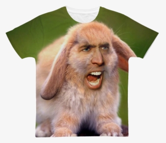 Nicolas Cage"s Face On A Rabbit ﻿classic Sublimation - Nicolas Cage As Animals, HD Png Download, Free Download