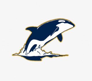 Sea World Whale Logo, HD Png Download, Free Download