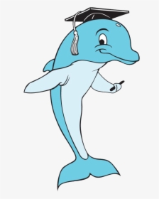 For Free Download And - Dolphin With Graduation Cap Clipart, HD Png Download, Free Download