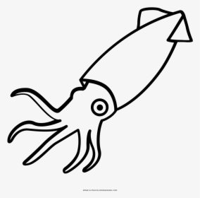 Collection Of Free Squid Drawing Simple Download On - Squid Black And White, HD Png Download, Free Download