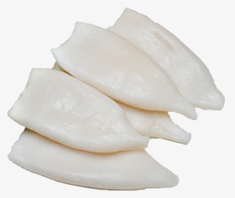 Squid Tube Png, Transparent Png, Free Download
