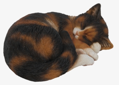 Cat Sleeping Drawing Transparent, HD Png Download, Free Download