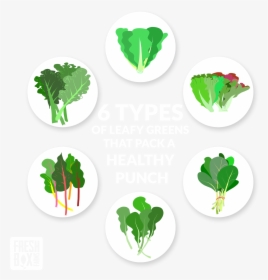 Different Types Of Leafy Vegetable, HD Png Download, Free Download