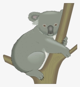 Koala Clip Art, HD Png Download, Free Download