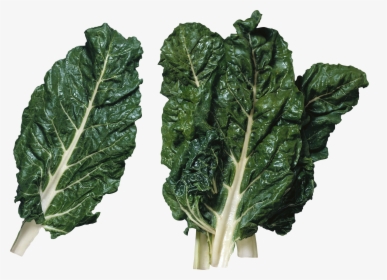 Salad Png Image - Leafy Greens Transparent Background, Png Download, Free Download