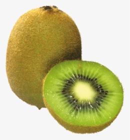 Kiwi Png Image, Free Fruit Kiwi Png Pictures Download - Kiwi Fruit Images Download, Transparent Png, Free Download