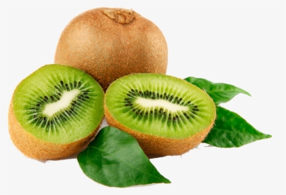 Kiwi Png Free Download - Different Types Of Fruits Individual, Transparent Png, Free Download