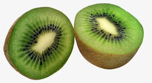 Transparent Background Kiwi Fruit, HD Png Download, Free Download