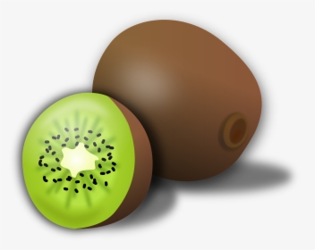 Kiwi Fruit Clipart, HD Png Download, Free Download