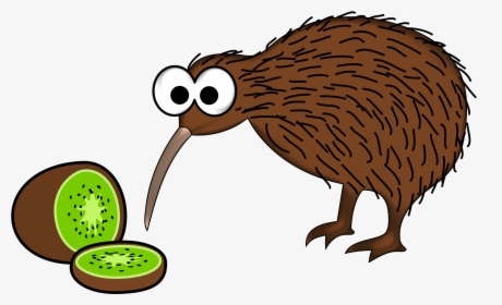 Cartoon Kiwi Bird With Kiwi Fruit Clip Arts - Kiwi New Zealand Clipart, HD Png Download, Free Download