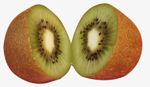 Kiwi Fruit Png - Kiwifruit, Transparent Png, Free Download