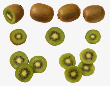 Now You Can Download Kiwi Transparent Png File - Portable Network Graphics, Png Download, Free Download