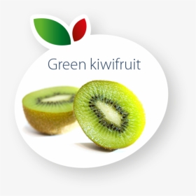 Green Kiwifruit - Kiwifruit, HD Png Download, Free Download