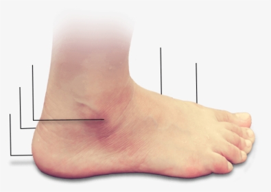 Feet - Barefoot, HD Png Download, Free Download