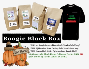 Calabaza, HD Png Download, Free Download