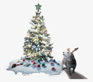 Christmas Tree And Max The Dog - Mars Christmas, HD Png Download, Free Download