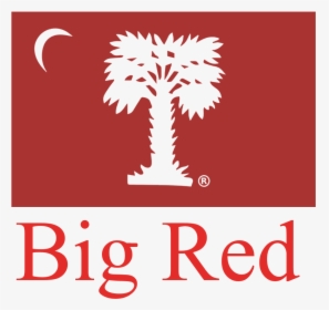 Citadel Big Red Flag, HD Png Download, Free Download