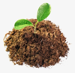 Leaves In Mud Png Image - Soil Png, Transparent Png, Free Download