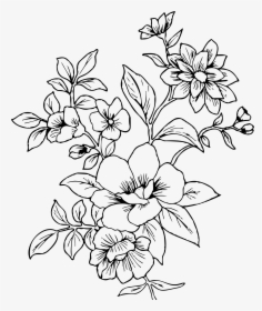 Transparent Flower Drawing Png - Flower Line Drawing Png, Png Download, Free Download