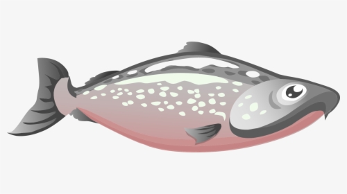 Pink,jaw,fish - Salmon Clipart Png, Transparent Png, Free Download