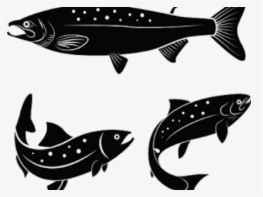Salmon Clipart Fish Body - Salmon Logo, HD Png Download, Free Download