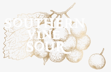 Wcr Southern Vine Logo - Thine Own Self Be True, HD Png Download, Free Download