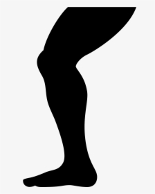 This Is A Leg From The Top Of The Thigh Down To The - Leg Icon, HD Png Download, Free Download