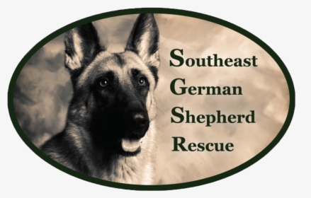 Southeast German Shepherd Rescue, HD Png Download, Free Download