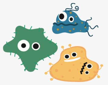 Bacteria Png - Bacterias Png, Transparent Png, Free Download