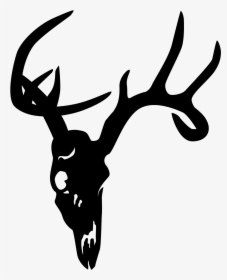 White-tailed Deer Elk Skull Clip Art - Free Transparent Deer Clipart, HD Png Download, Free Download