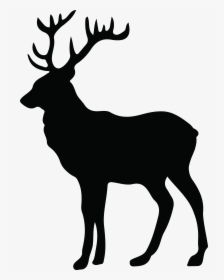 Whitetail Deer Silhouette, HD Png Download, Free Download