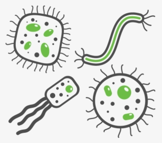 Respiratory Infections - Bacteria Png, Transparent Png, Free Download